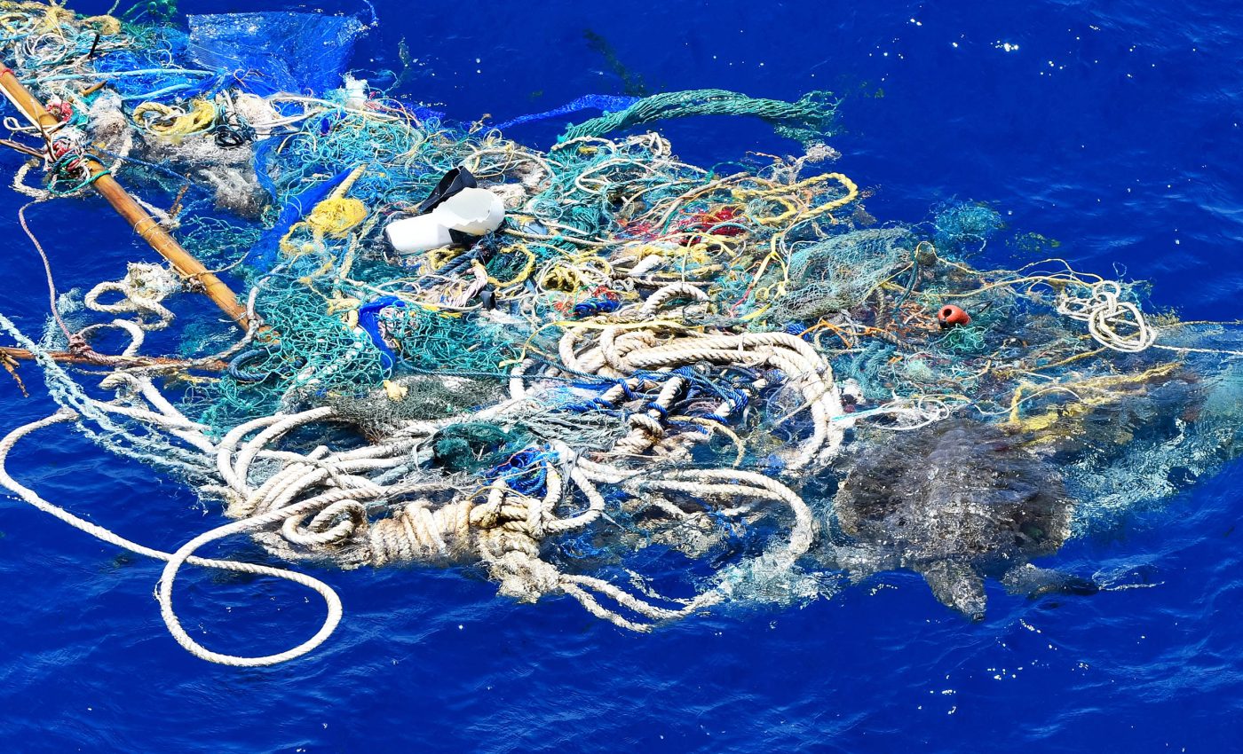 Some experts think we should pause our ocean plastic cleanup efforts