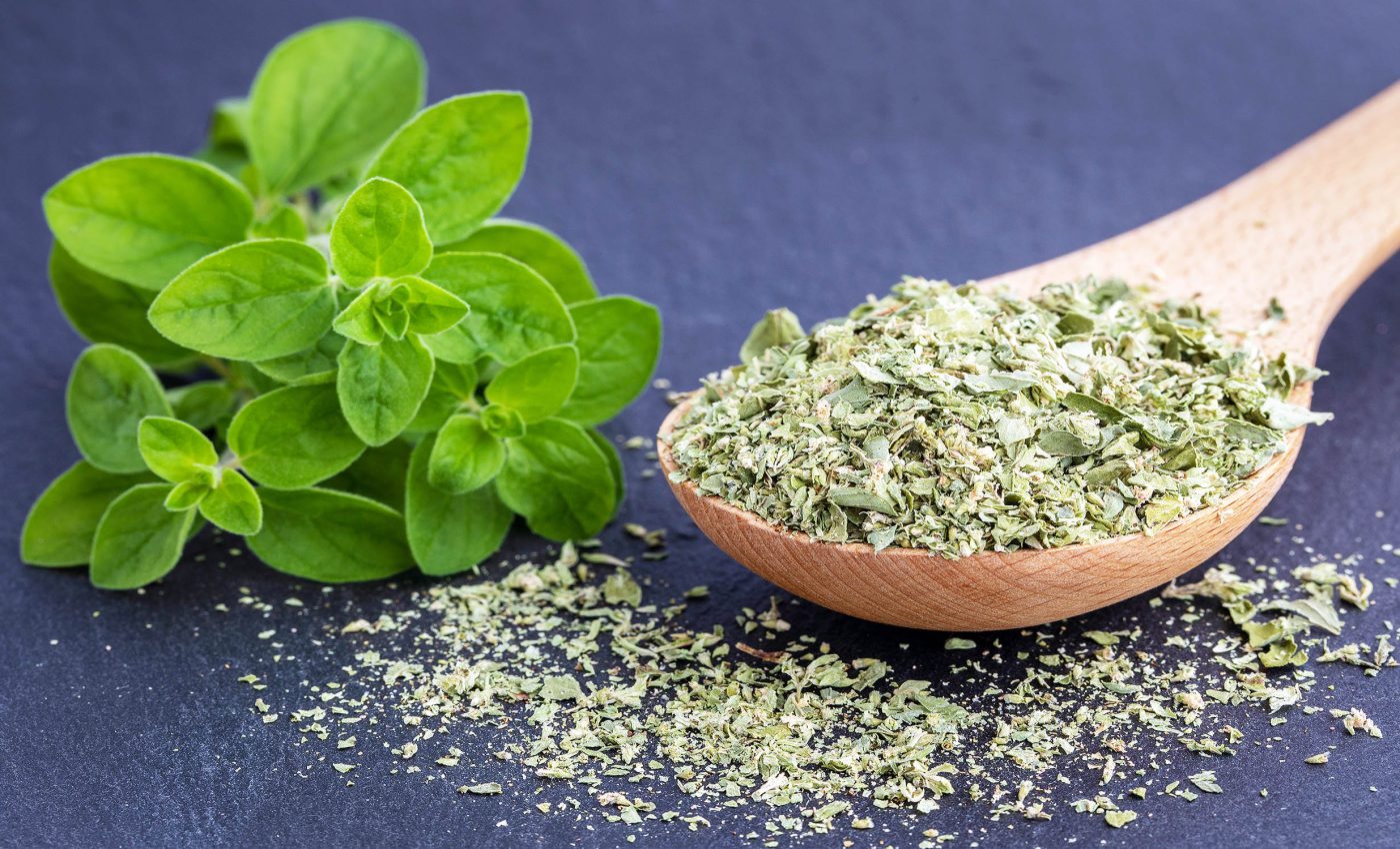 This herb helps reduce and prevent joint pain from arthritis