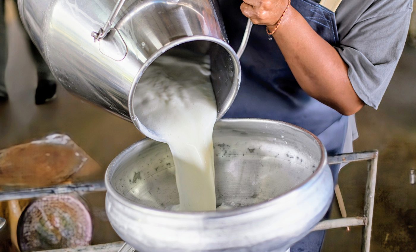 Raw milk could carry deadly flu viruses for days