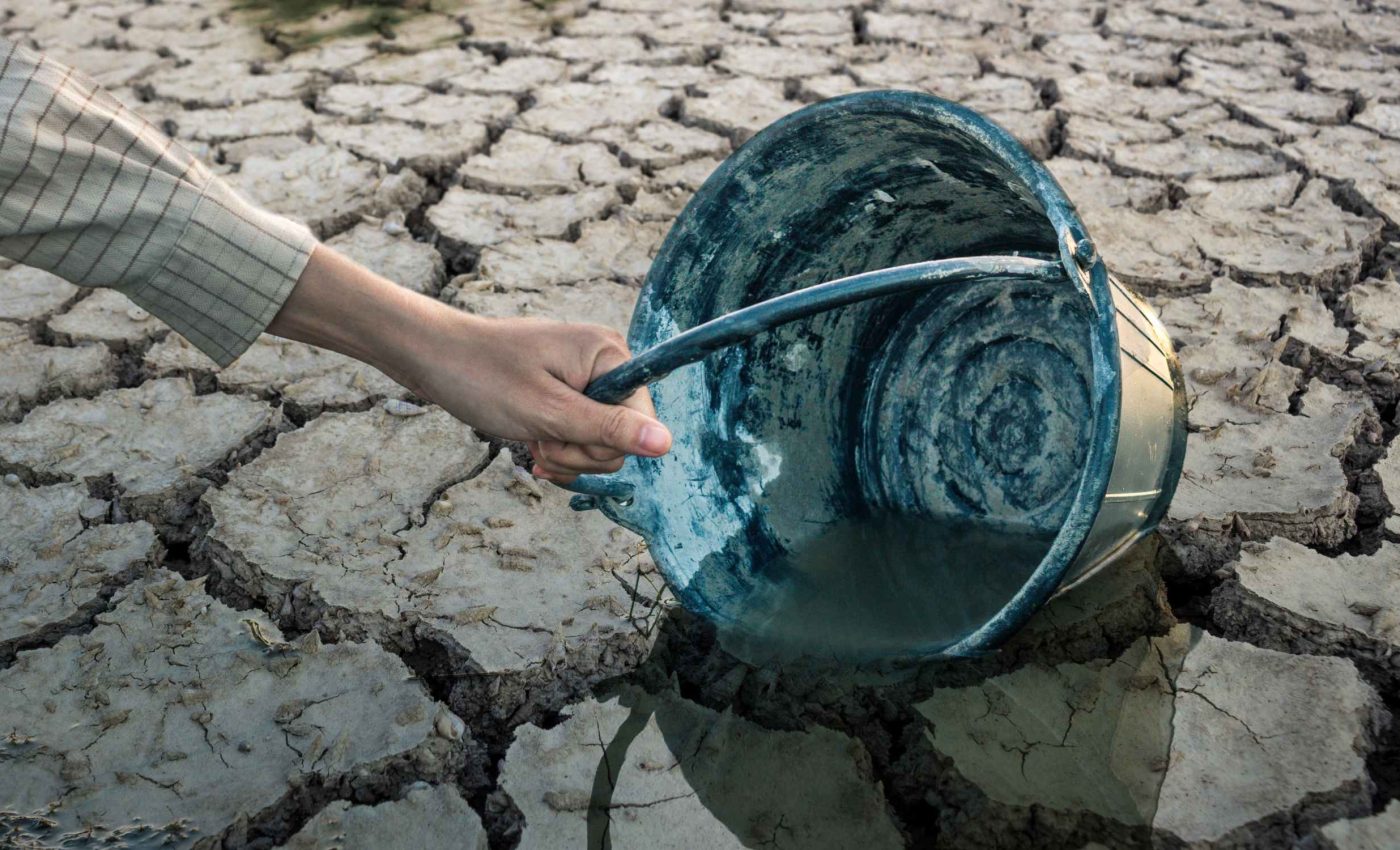 Tiny sensors can detect dehydration before it destroys crops