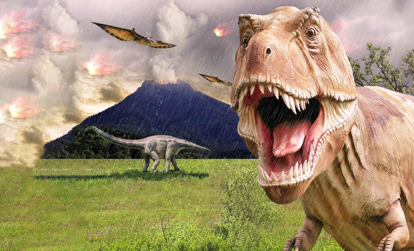 Dinosaur extinction was not caused by global volcanic eruptions
