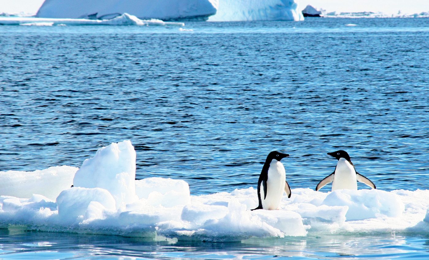 Rapid Antarctic sea ice loss is causing severe storms around the world