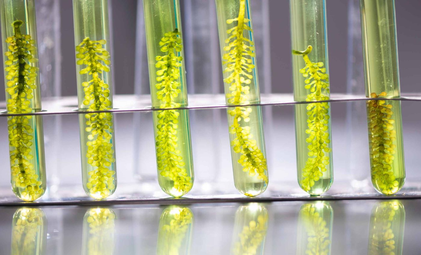 Is methanol the next green power player in the hunt for clean energy?