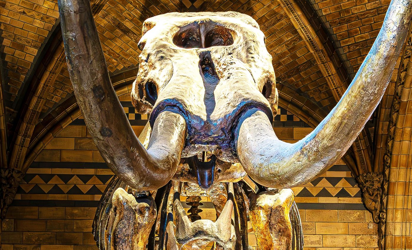 Discovery: Early humans in America coexisted with giant sloths and mastodons