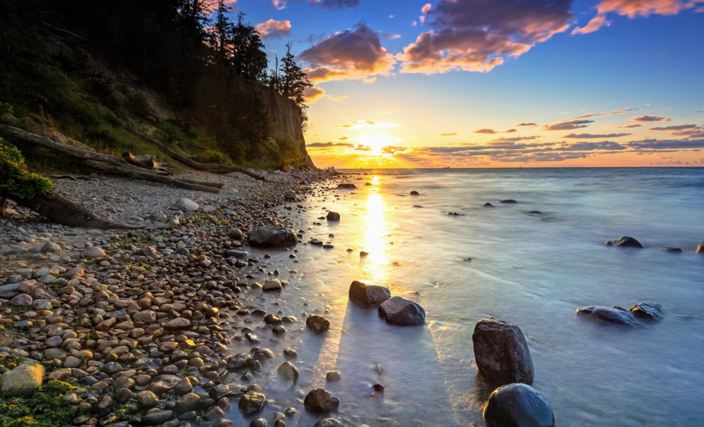 Rapid evolution in the Baltic Sea: How herring became fish-eaters