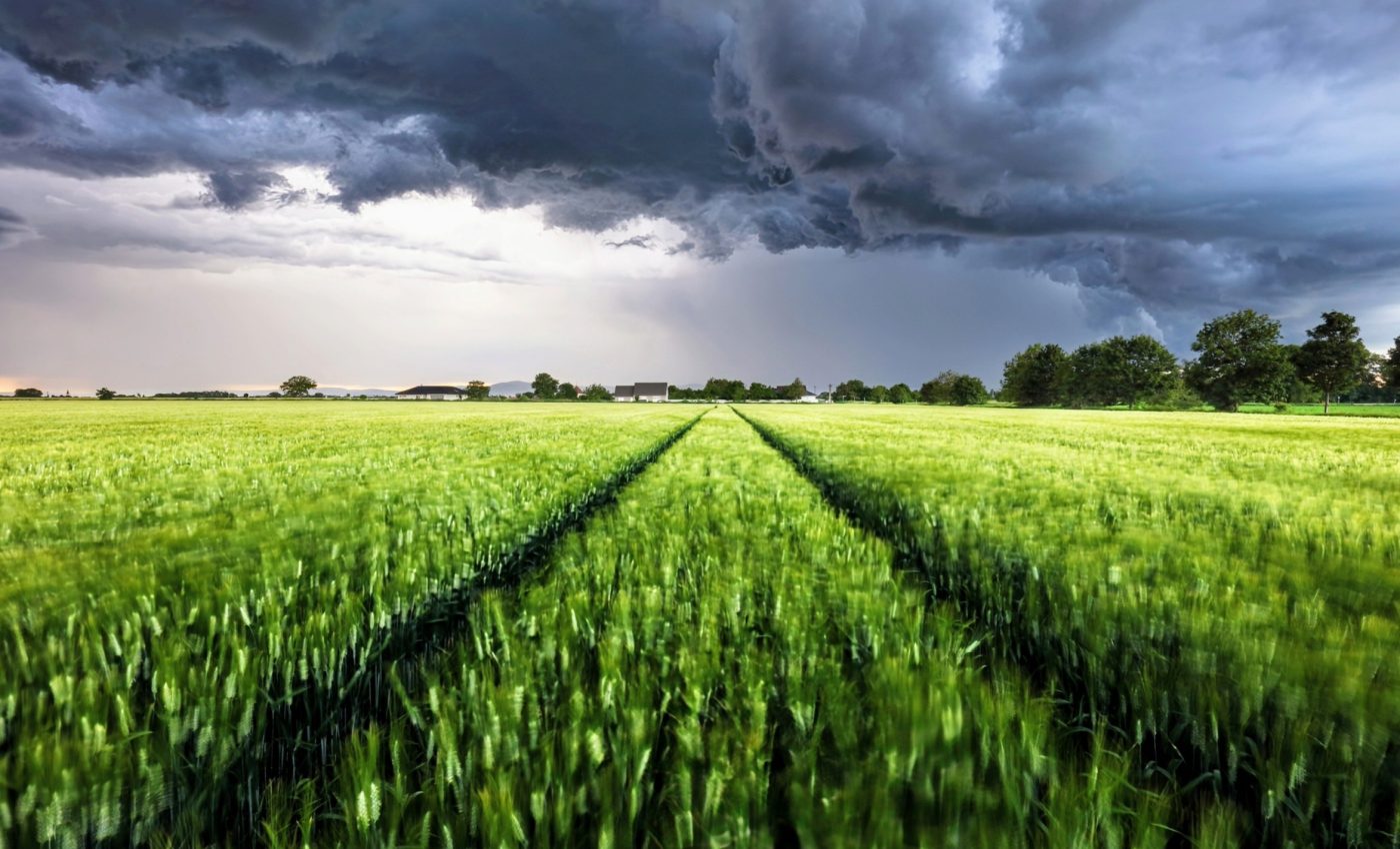 Forecasting the floods: New clues about extreme rainfall