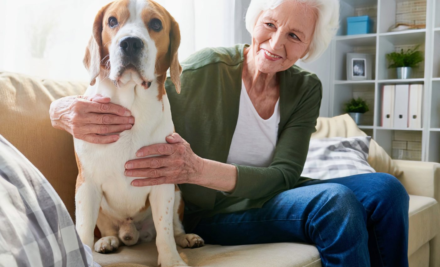 Longevity pills for dogs could help humans live longer too