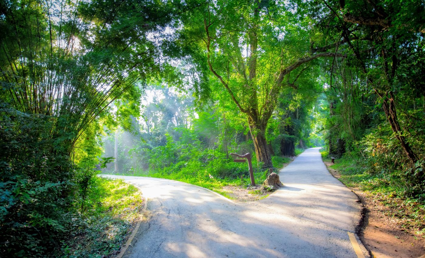 Navigating uncertainty: How to make transformative life decisions