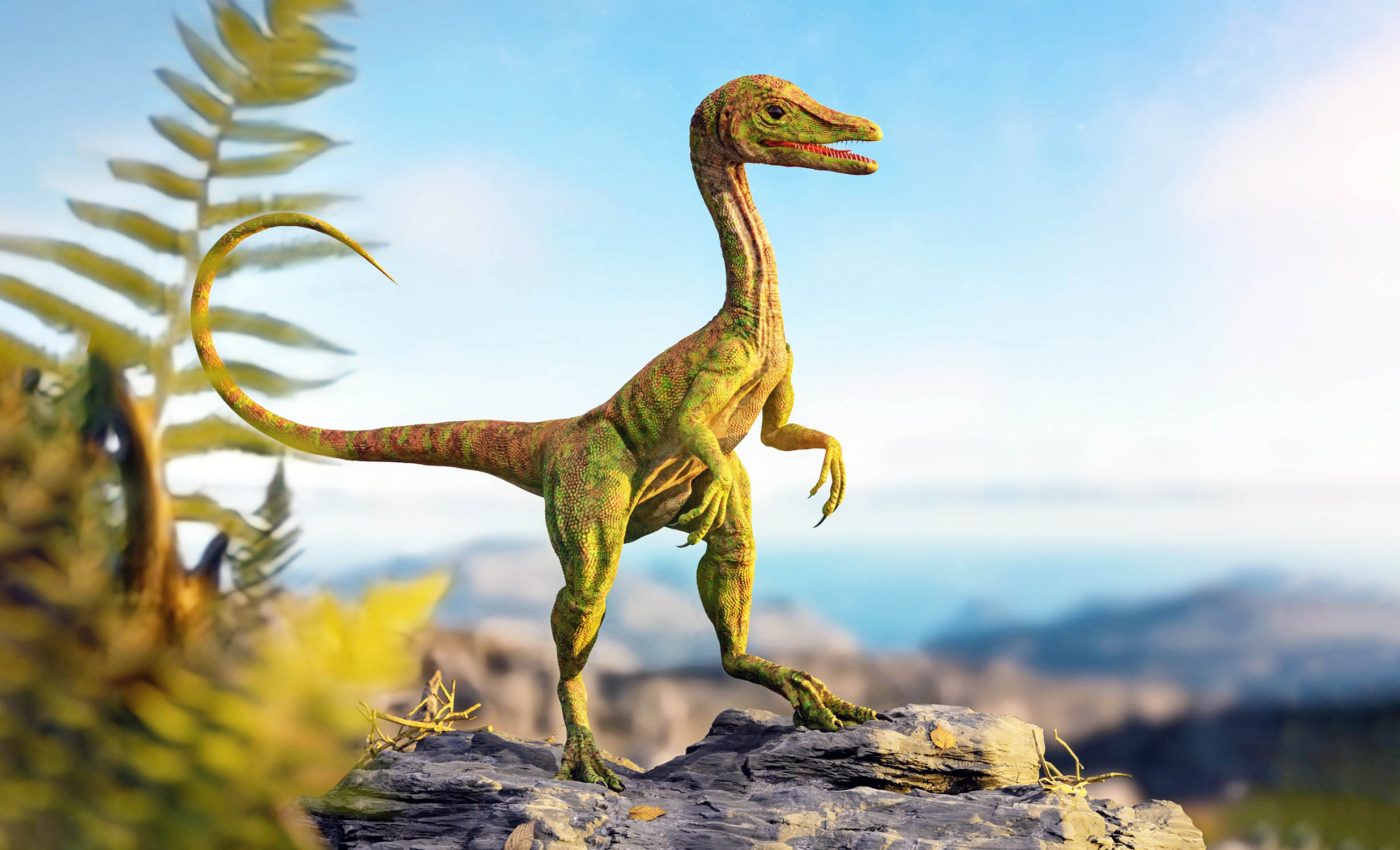 Dinosaur discovery in North America is completely rewriting their history