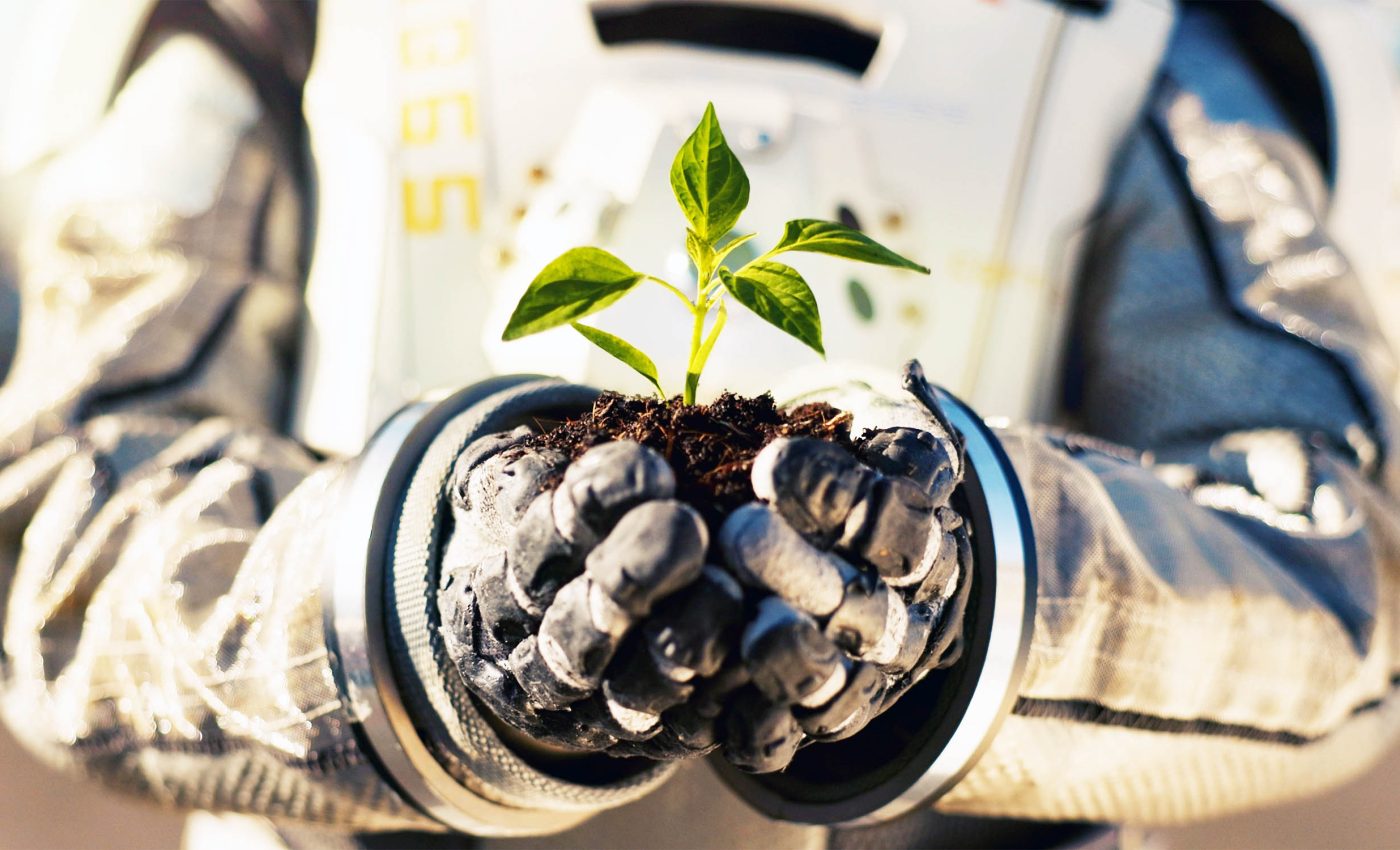 Space lettuce: NASA's plans to grow nutritious plants on Mars