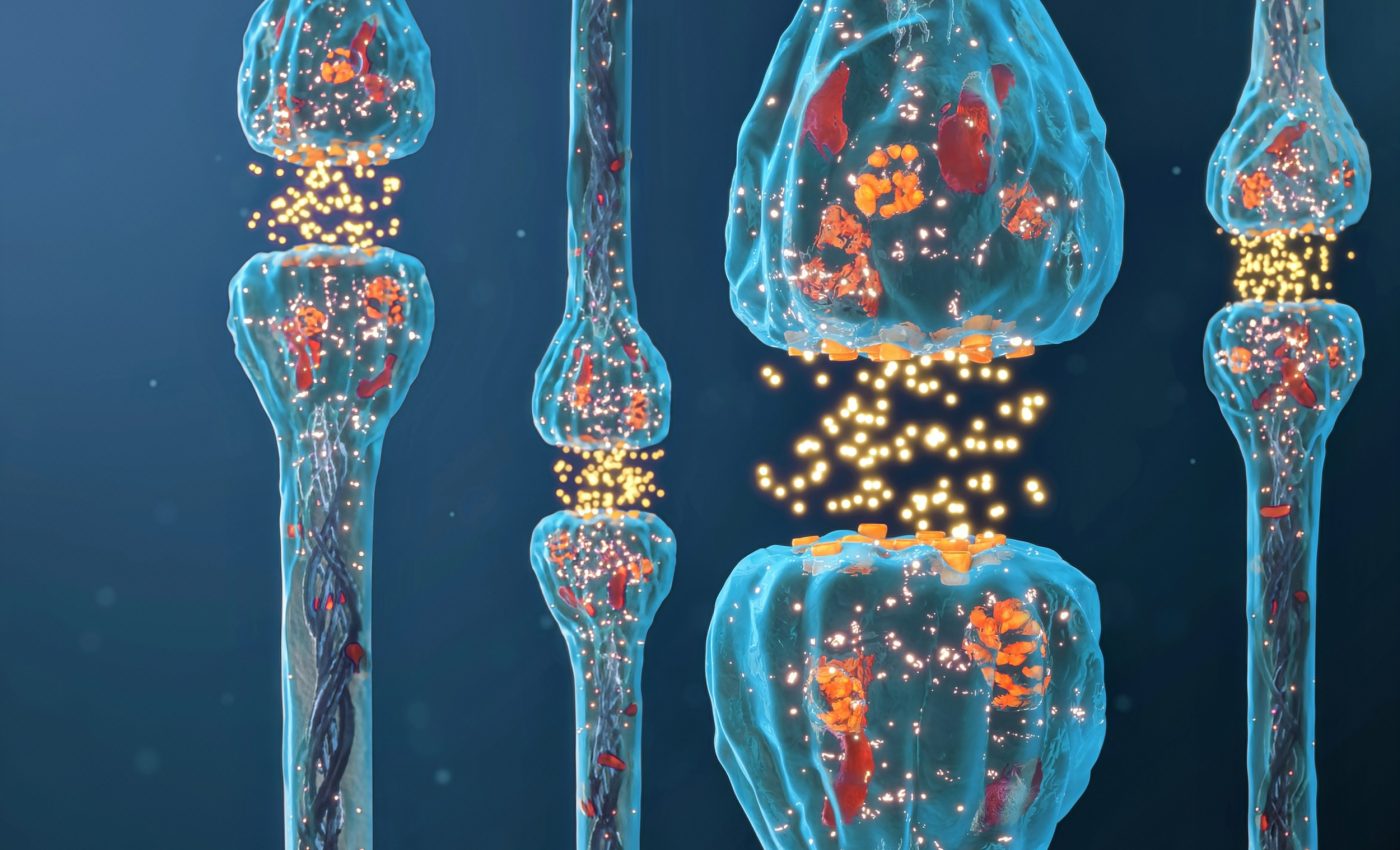 Electrical synapses are key to decision-making in animal brains