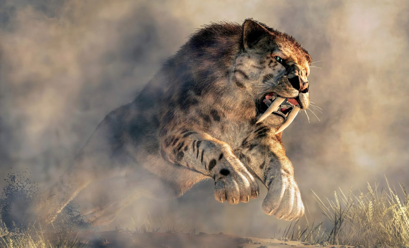 Saber-toothed predators evolved the perfect fangs for hunting