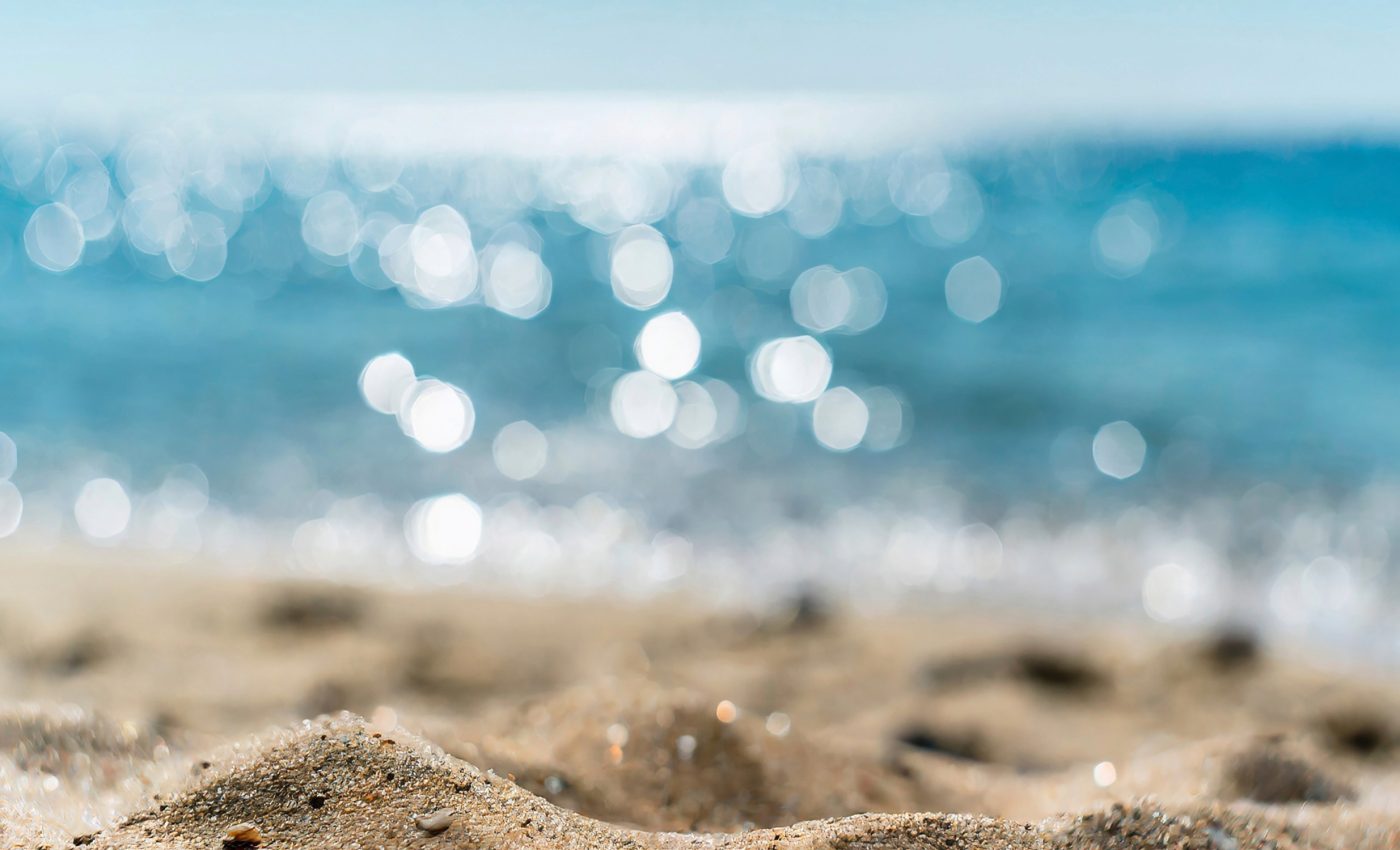 Hidden beach microbes help protect coastal waters