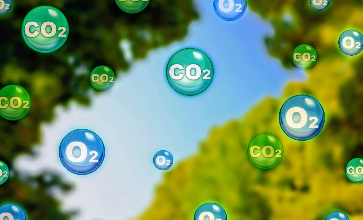 New system captures carbon dioxide directly from air