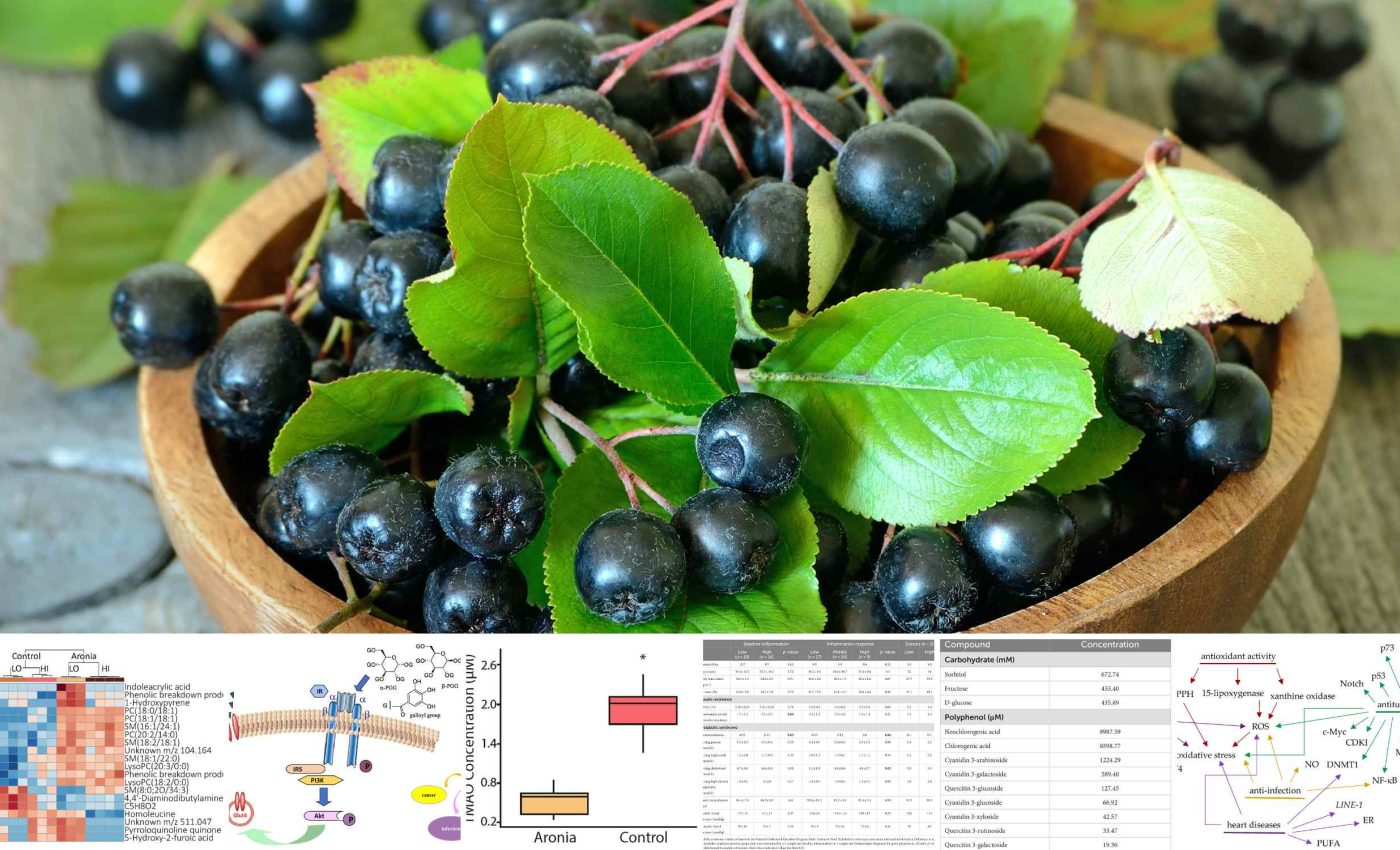 Black gold: The vitamin-packed fruit that regulates blood sugar and blood pressure