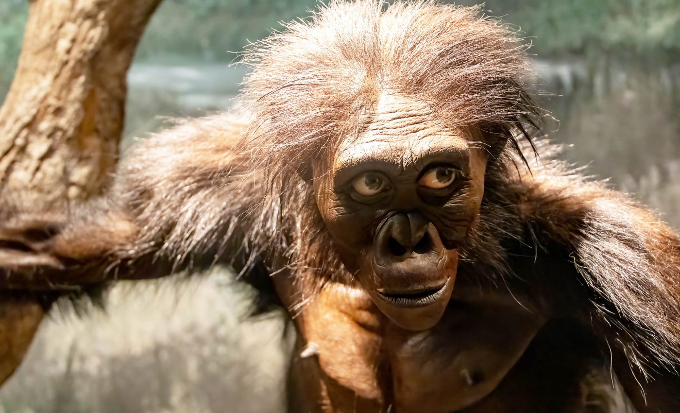 Early humans had surprising diets 3.5 million years ago