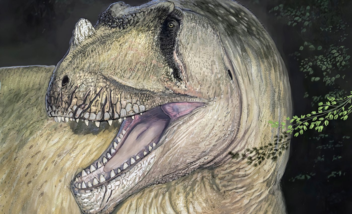 New predatory dinosaur species identified in lost photos