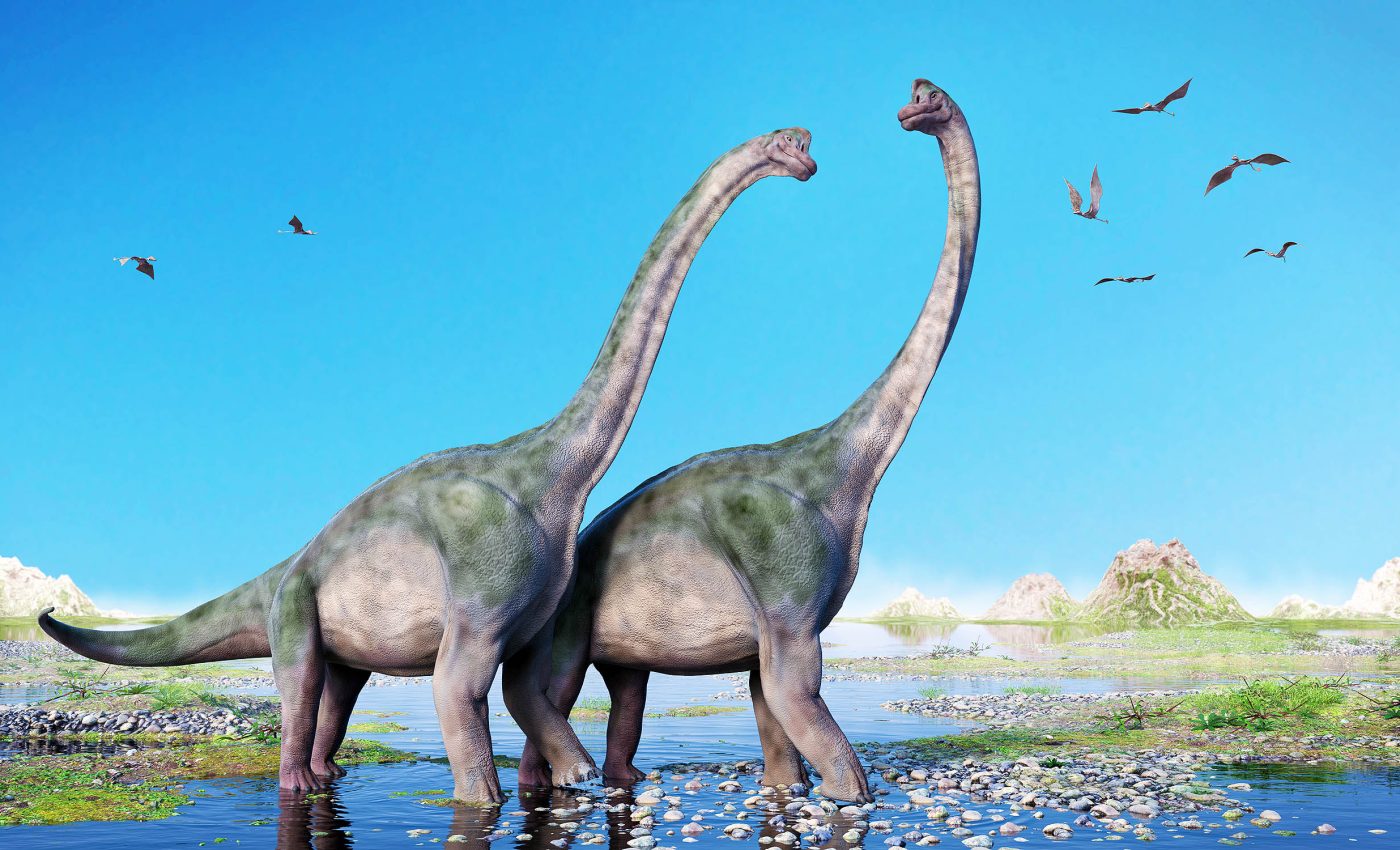 How did dinosaurs mate, have sex, and reproduce? Fossil evidence offers some clues