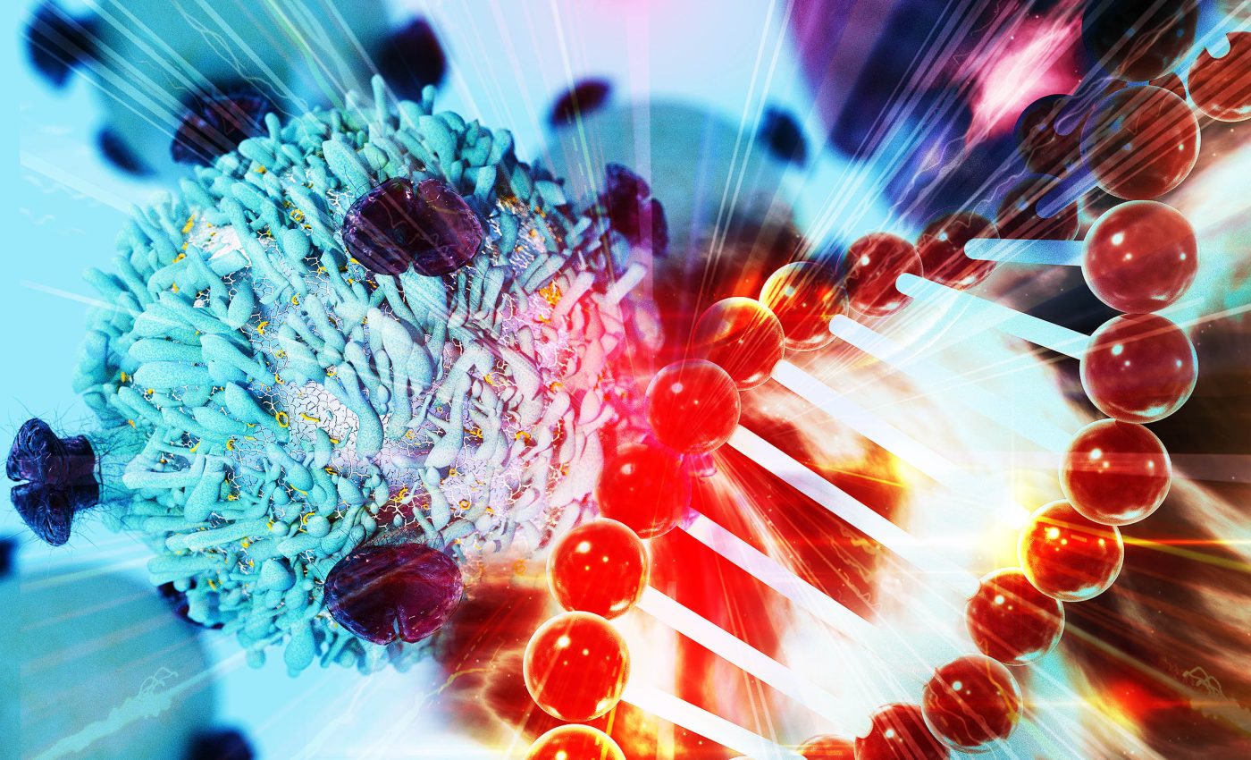 Our lifetime cancer risk may be established before we are born