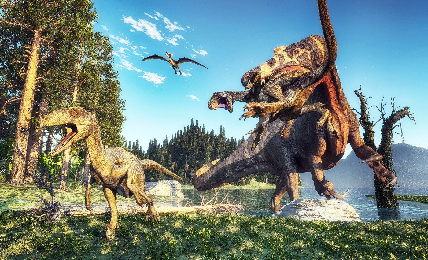 66-million-year-old fossilized vomit gives clues to prehistoric diets