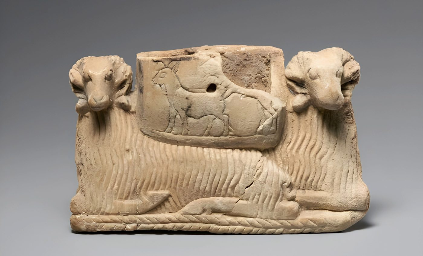 Sheep have been intertwined with humans for over 11,000 years