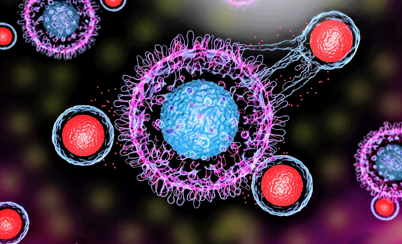 Computer model can identify tumor-fighting immune cells