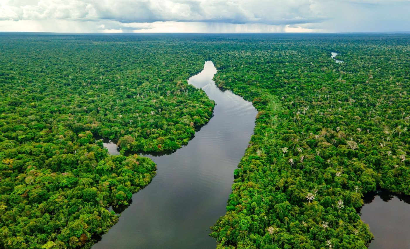 Protected but not safe: Hidden threats to wildlife in tropical forests