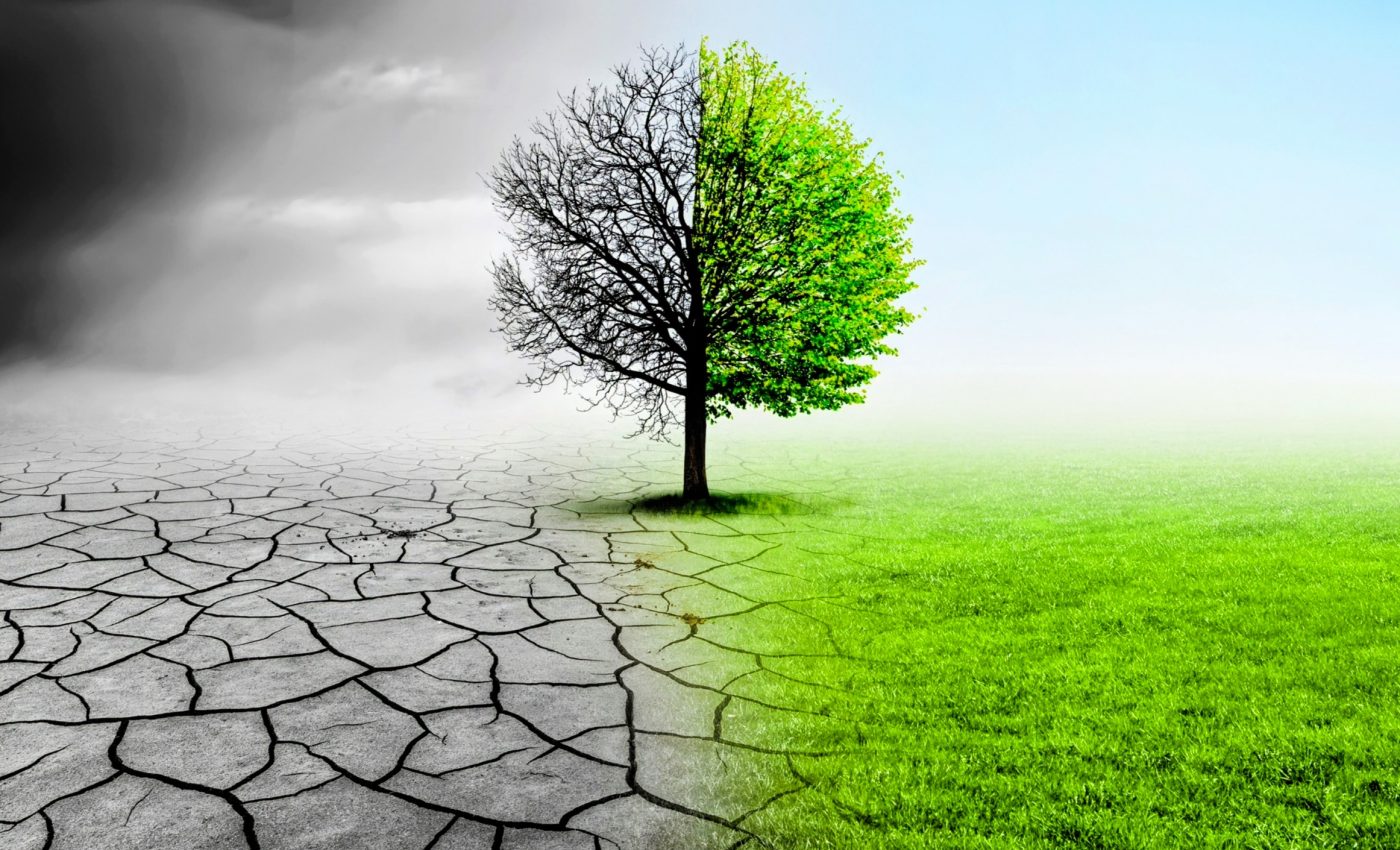 Biodiversity leaks: Conservation efforts may shift harm elsewhere