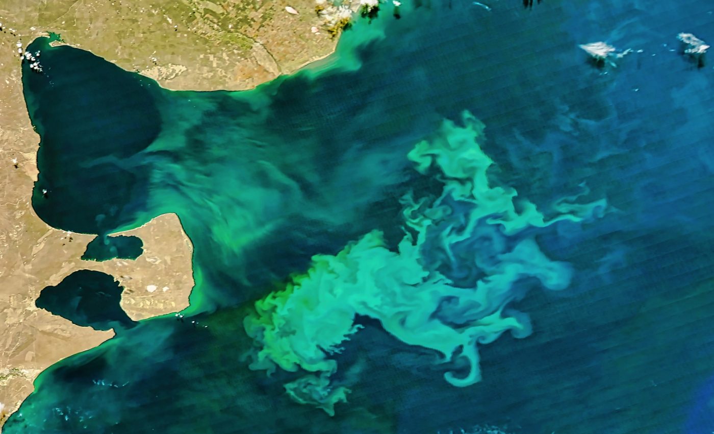 Tracking tiny life: New tools for phytoplankton research