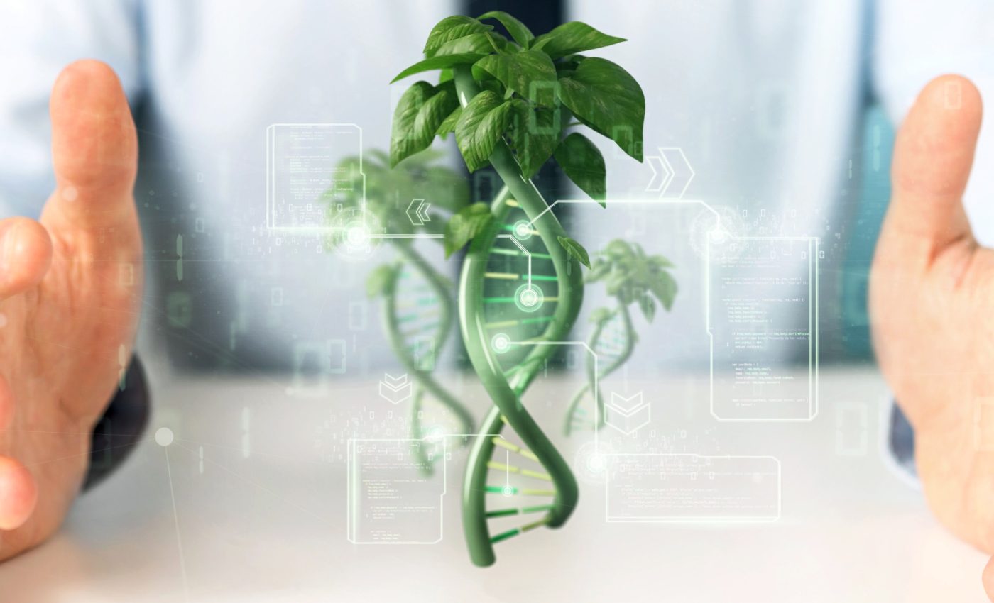 Nanoparticles unlock a new way to genetically modify plants