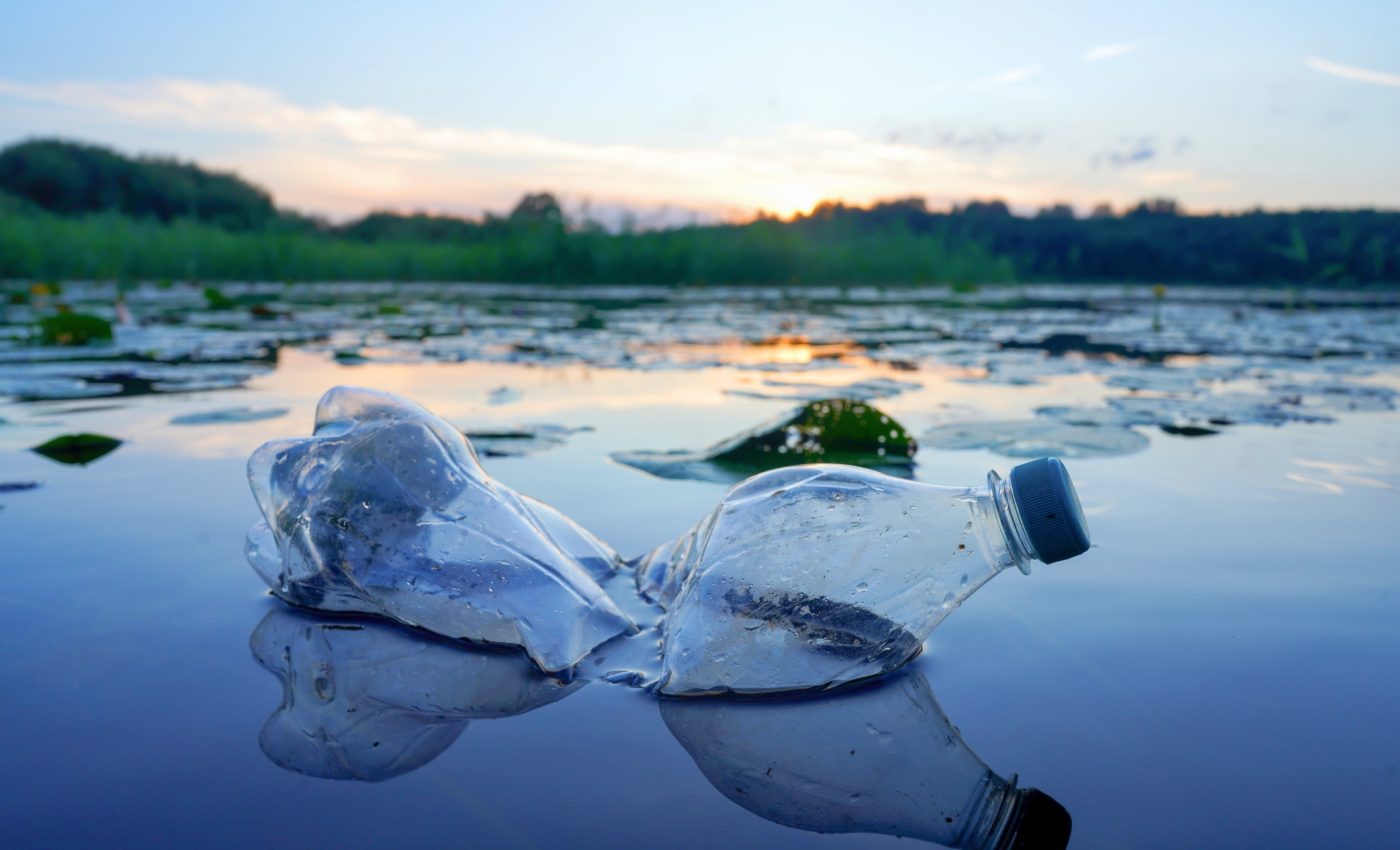 Marine fungi can be trained to degrade plastic pollution