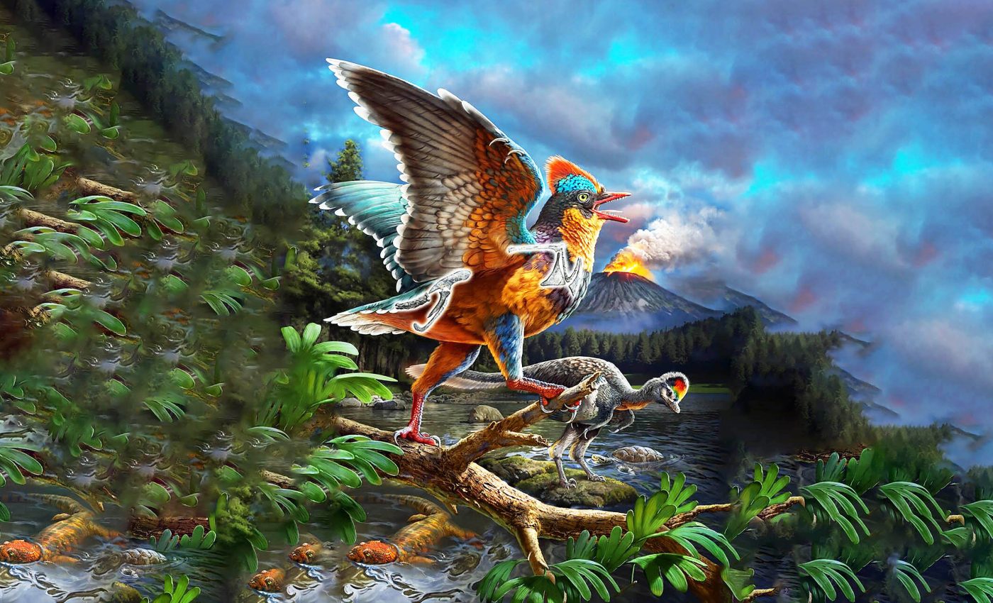 Bird evolution timeline pushed back at least 20 million years by new discovery