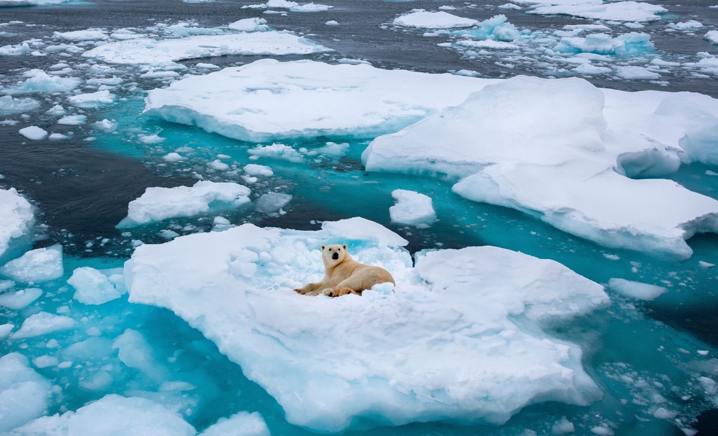 Glacier ice melting continues to accelerate, causing huge global problems