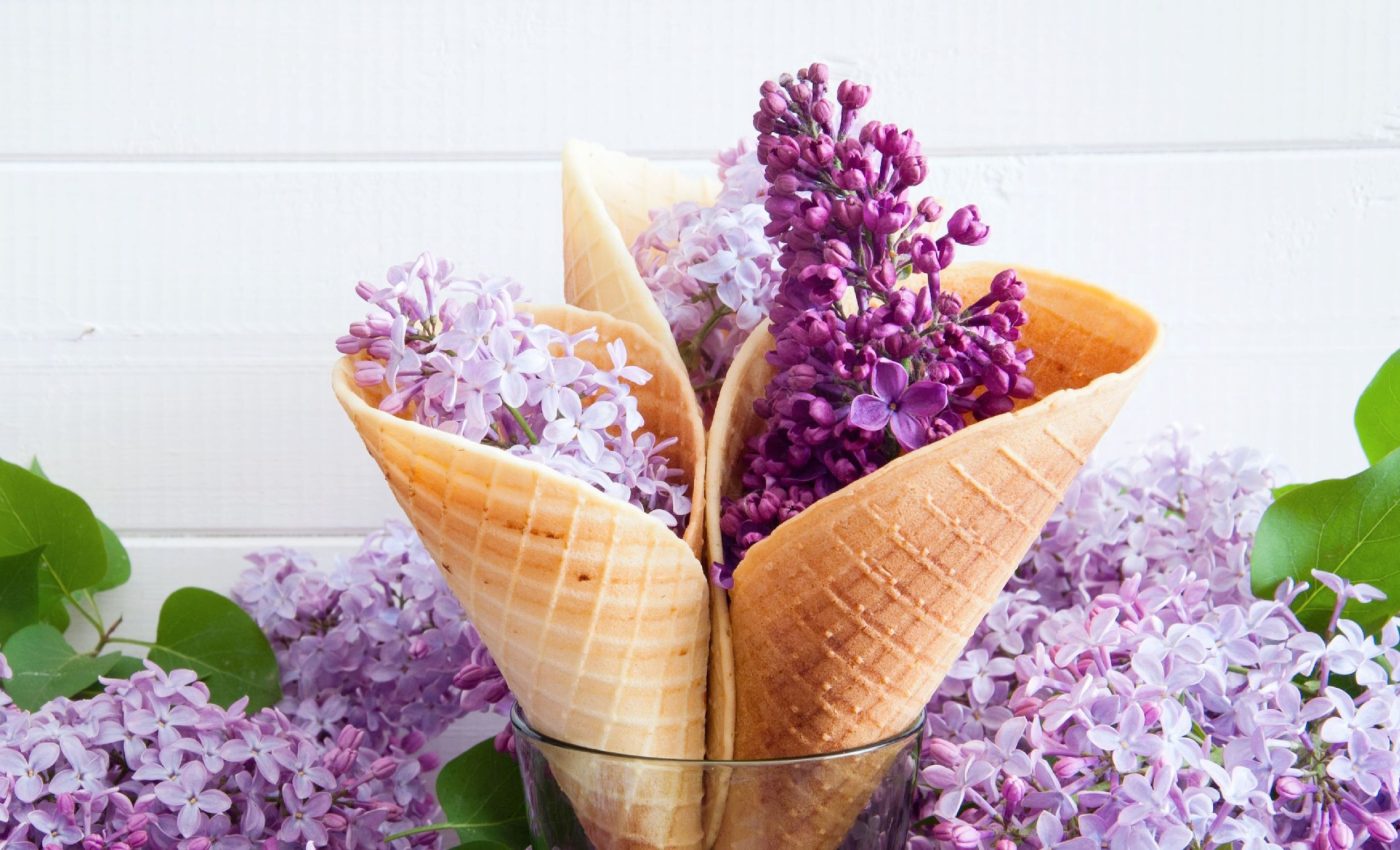 Flowers as food: How ultrasound makes it possible