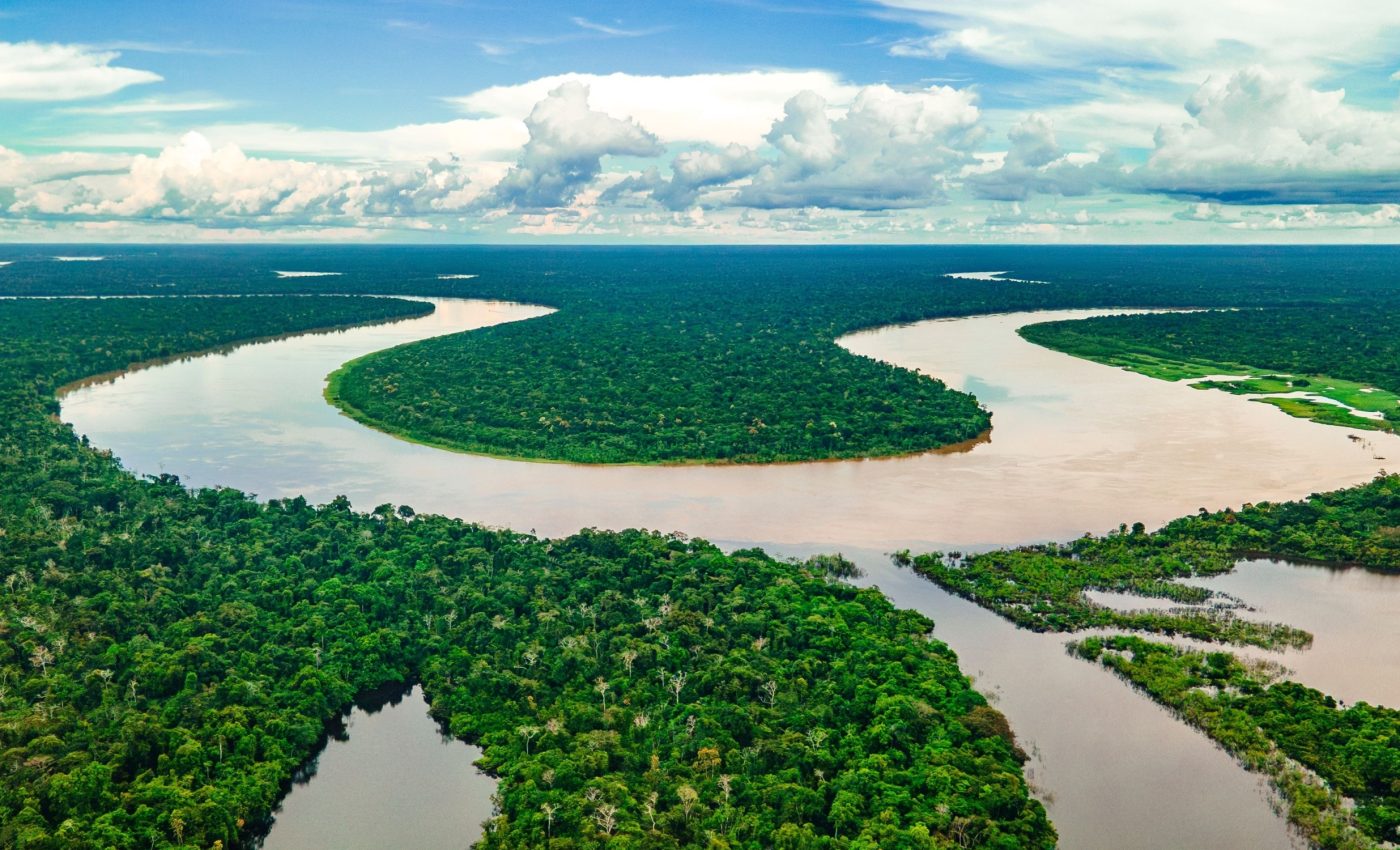 Amazon rainforest may be much more stable than we thought
