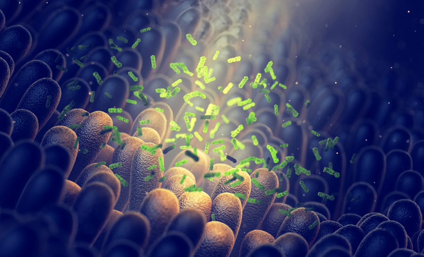 Gut microbes have an unexpected link to anxiety