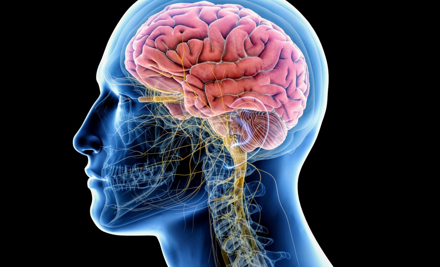 AI can detect if your brain is aging too quickly