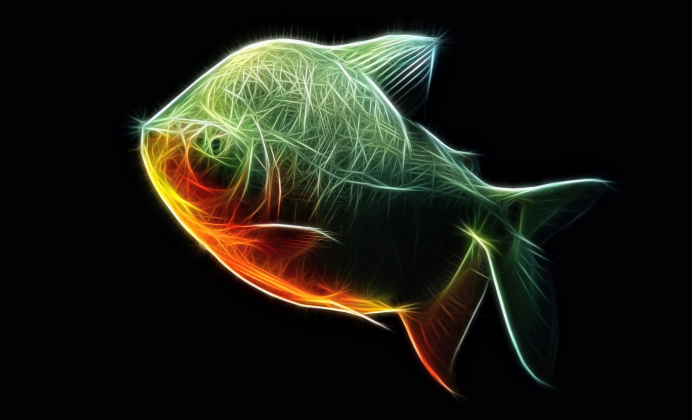 More than two dozen unusual fish species discovered in Peru and the Amazon