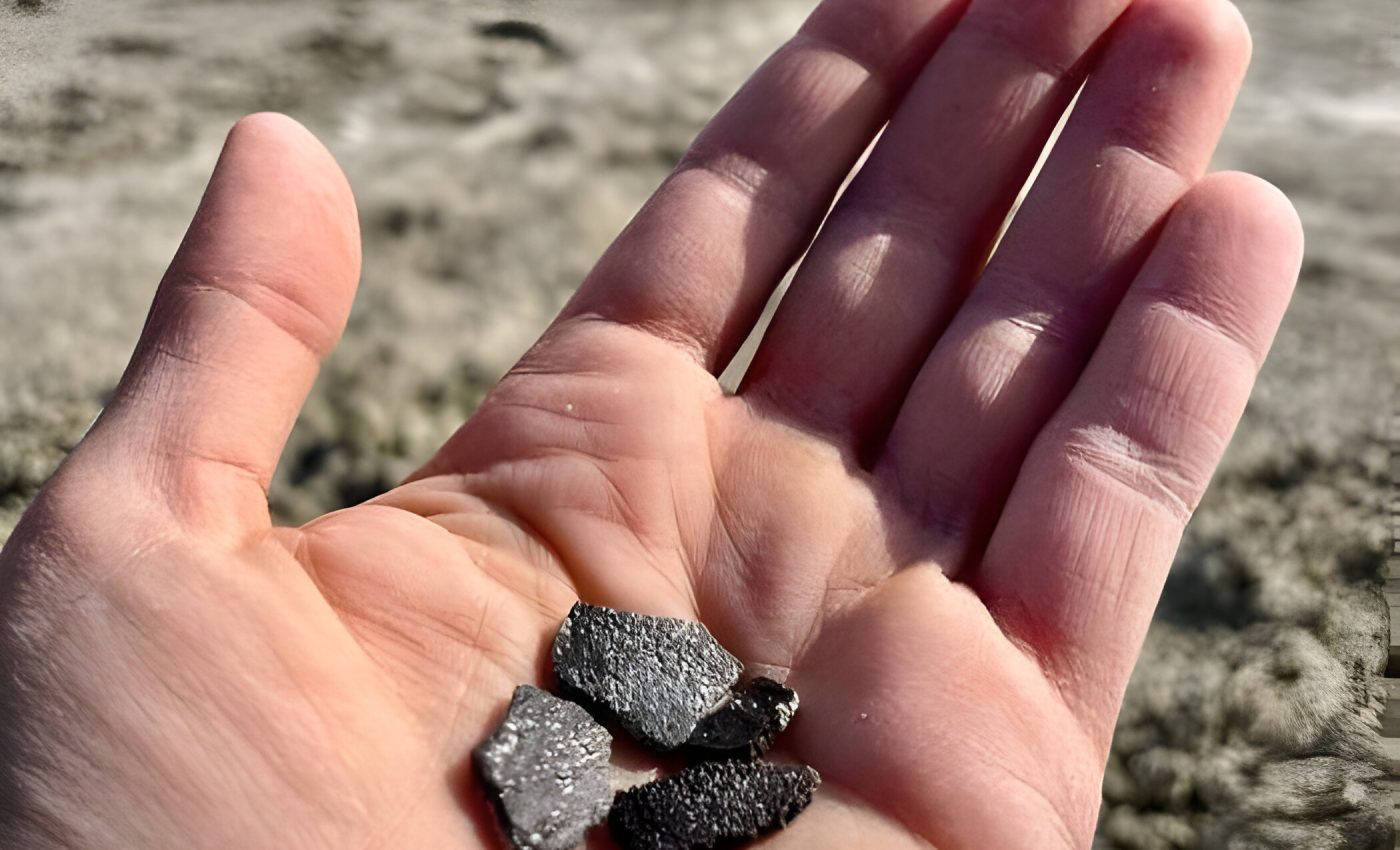 Dinosaur eggs found in Utah belong to multiple species