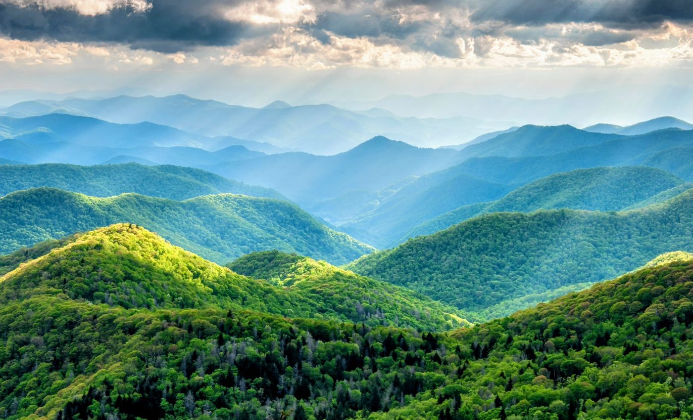 How forests rose again after the planet’s most extreme extinction