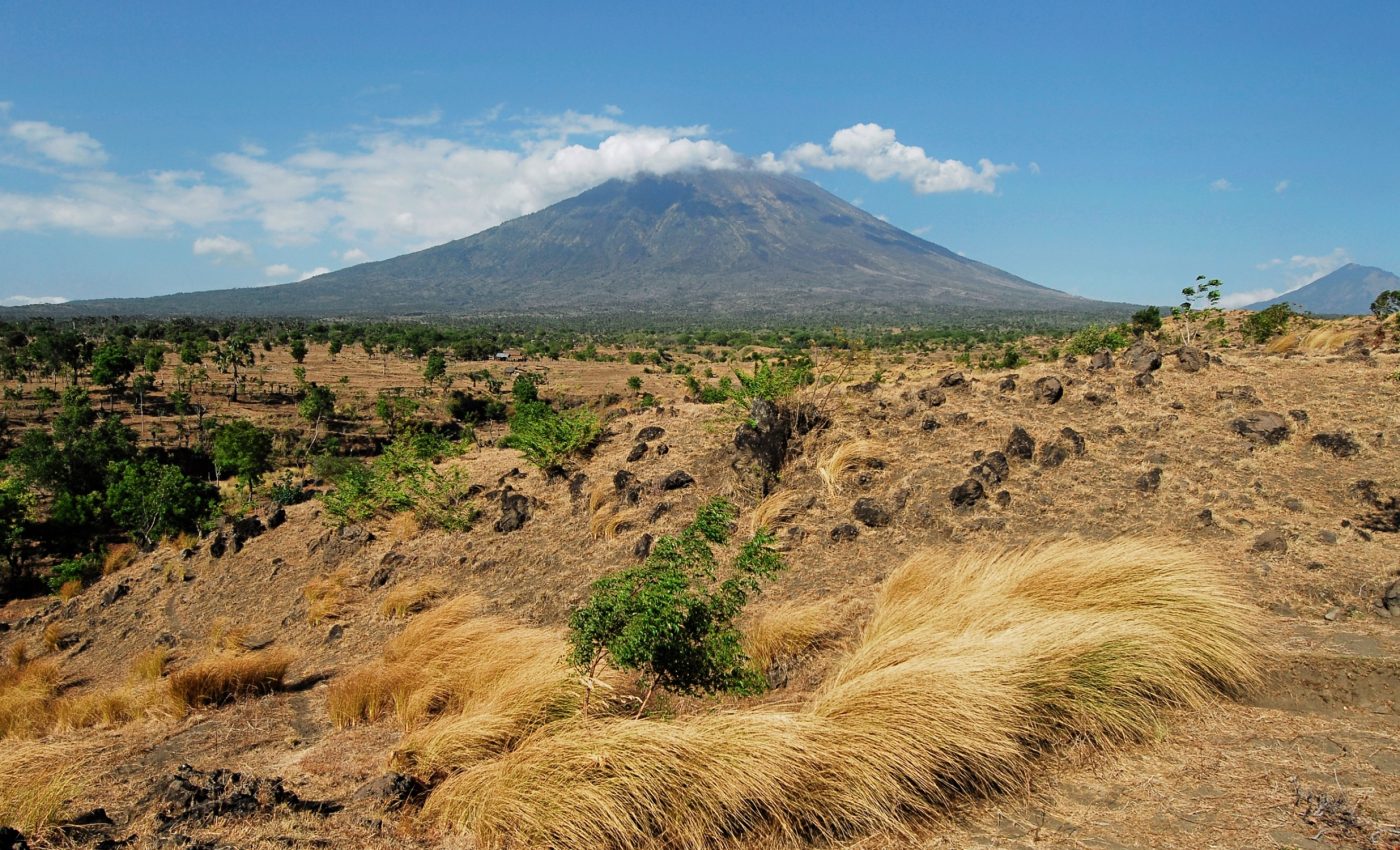 Restored grasslands could take centuries to fully recover