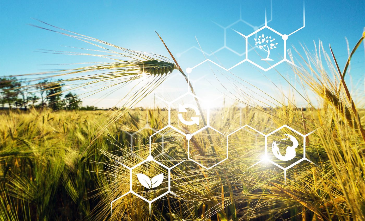 Sounding the alarm: Microplastics are disrupting photosynthesis around the world