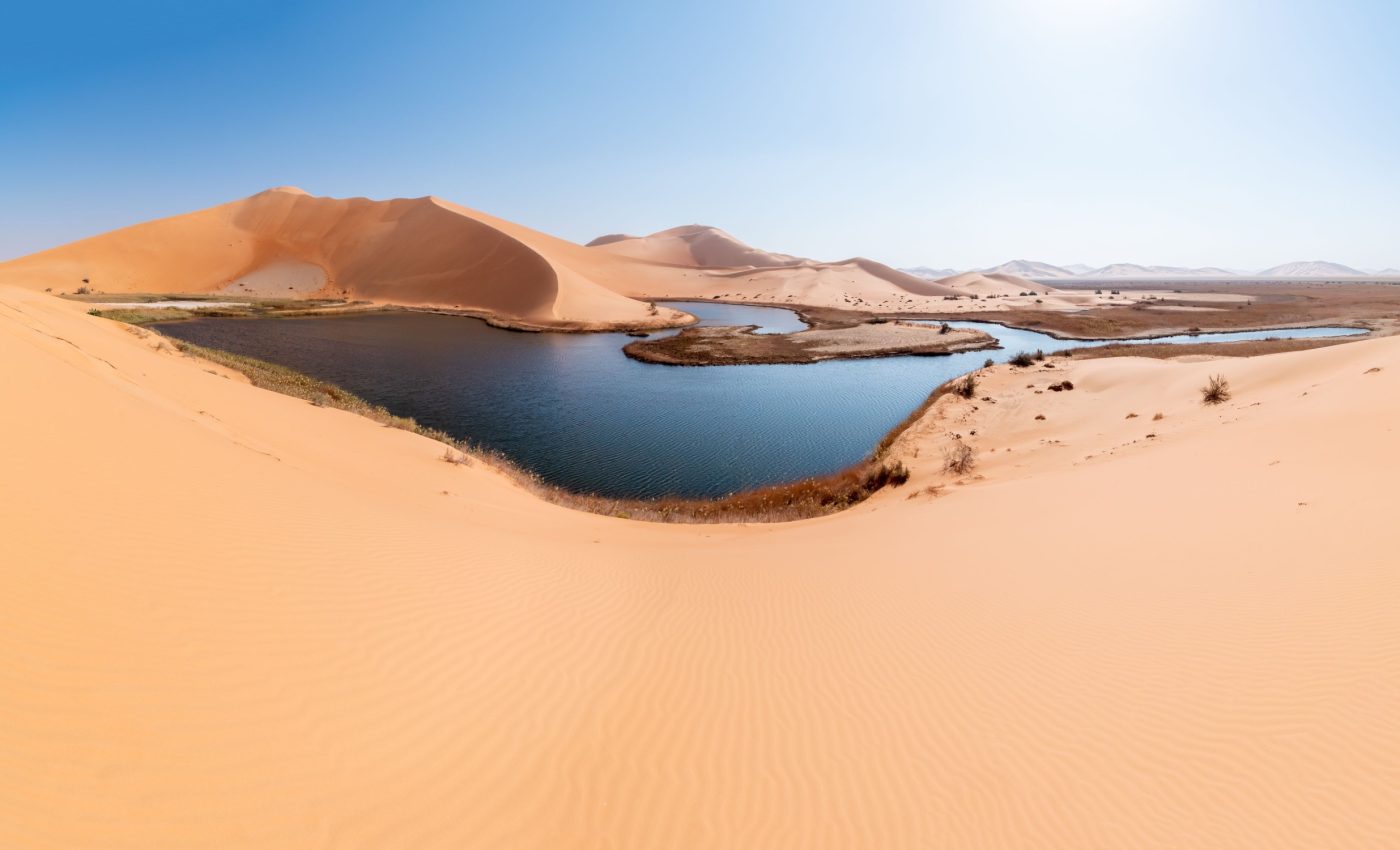 Rare storms create temporary lakes in the Sahara desert