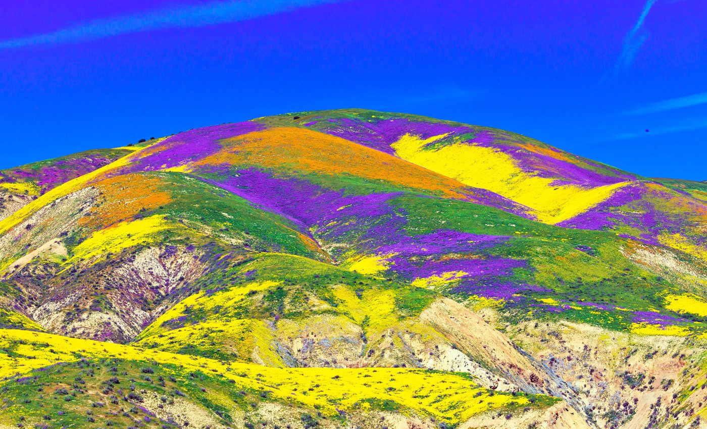 NASA tracks changes in seasonal flower cycles and migration patterns from the air