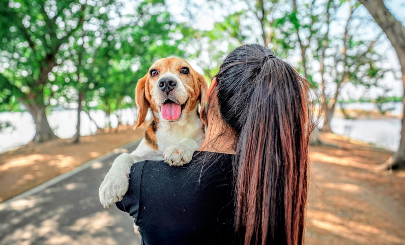 Are dogs replacing children? How modern society is changing