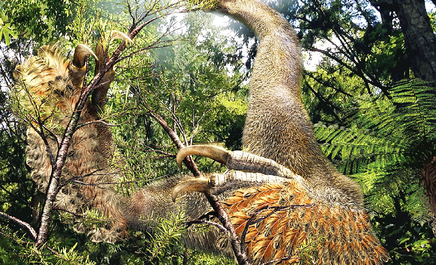 Dinosaur species discovered with just two claws, baffling scientists