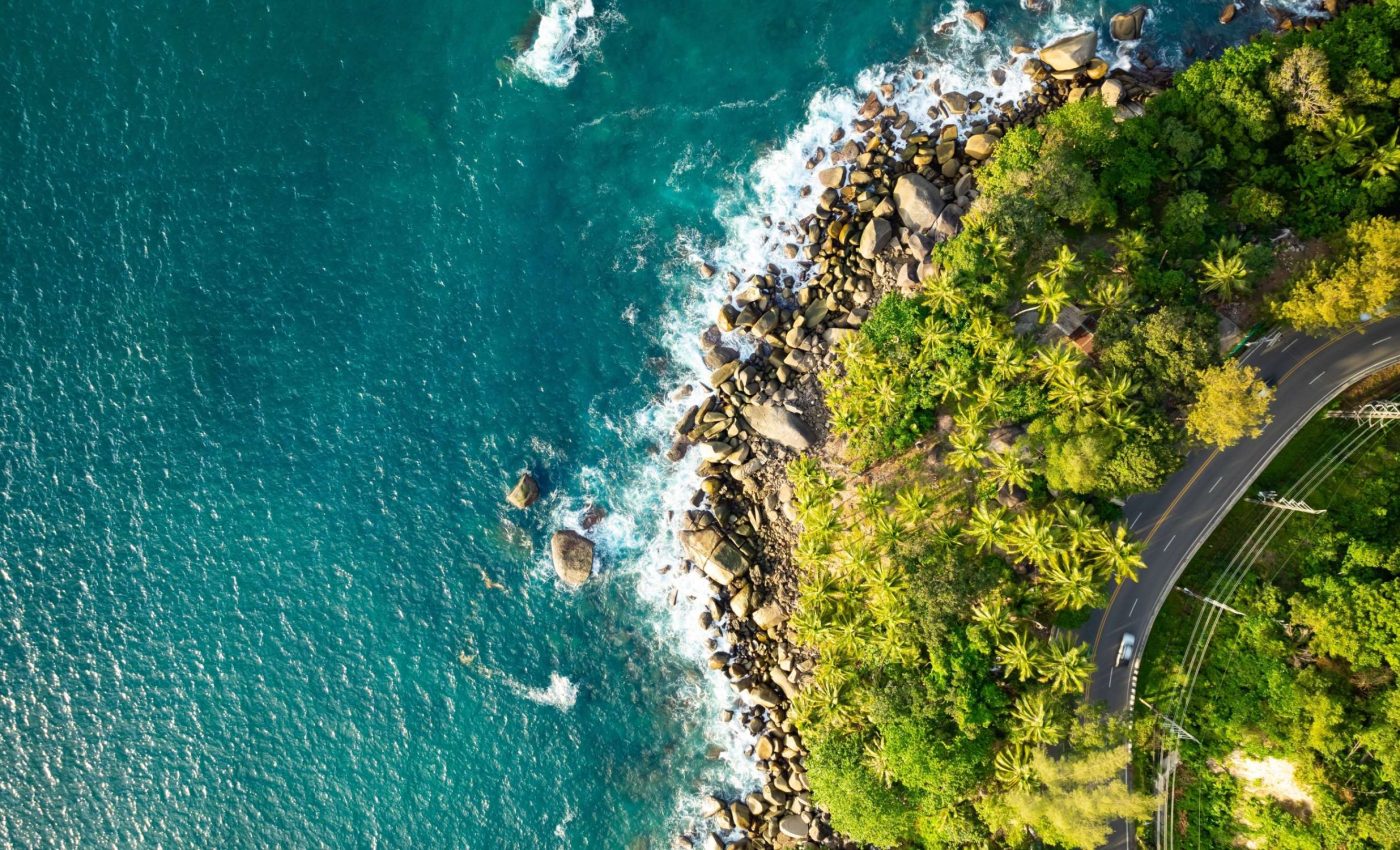 Why don’t all plants grow everywhere across the world?