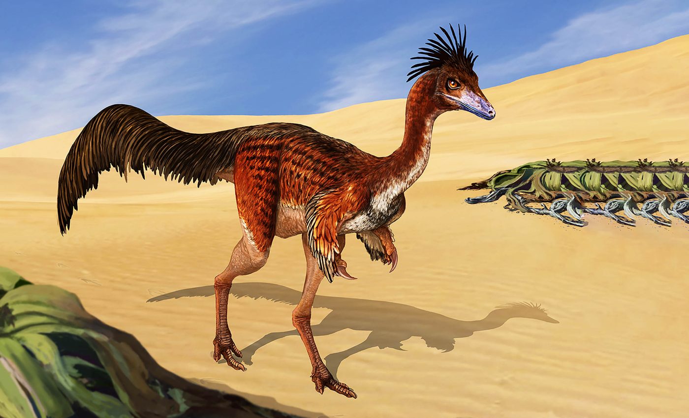 First evidence of 'hollow bones' found in dinosaurs, just like modern birds