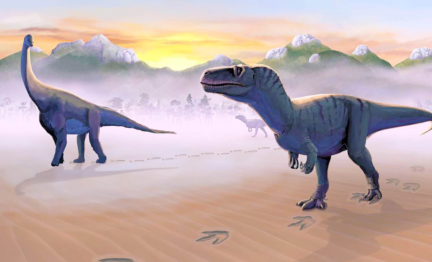 Footprints reveal ancient playground for giant Jurassic dinosaurs