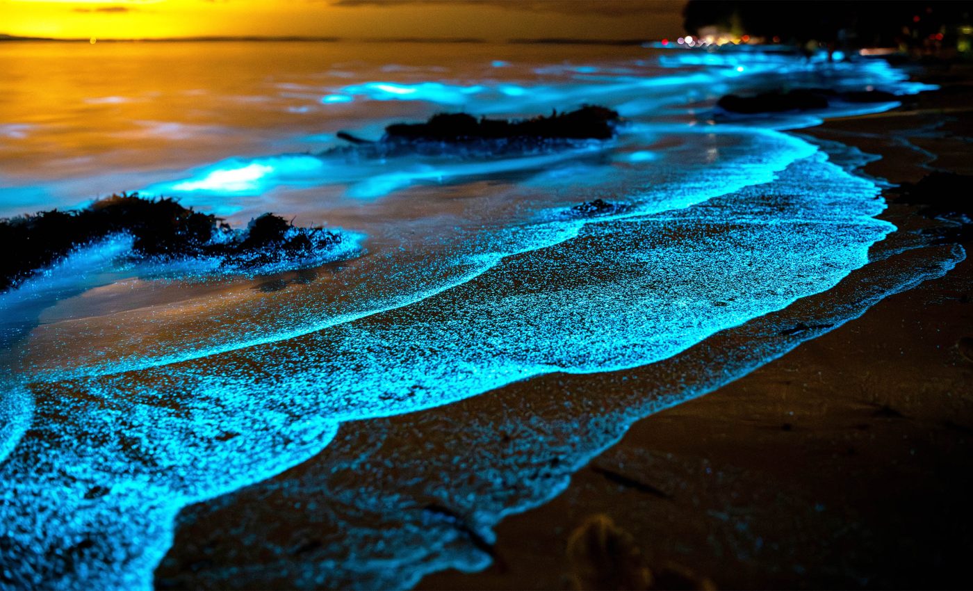 Glowing, 'milky seas' phenomenon has stumped scientists for 400 years